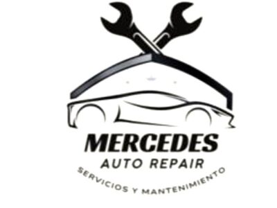 Mercedes Auto Repair
